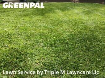 Lawn Cutting nearby Independence, MO, 