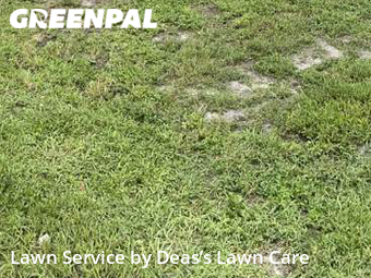 Lawn Service nearby North Miami, FL, 