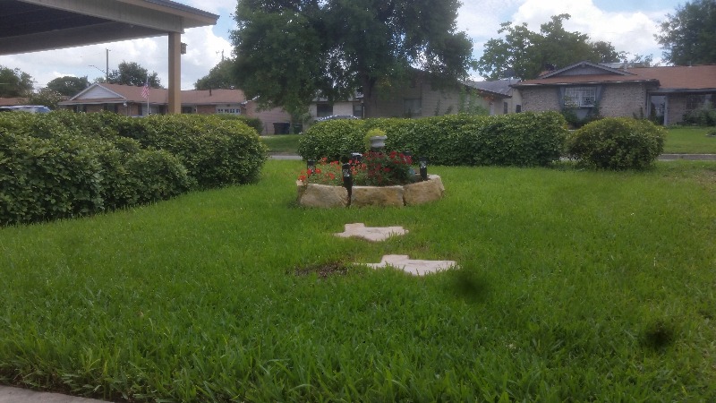 Lawn Care Service in San Antonio, TX, 78227