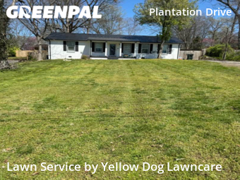 Lawn Cut nearby Nashville, TN, 