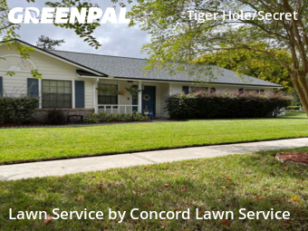 Lawn Mowing Service nearby Jacksonville, FL, 