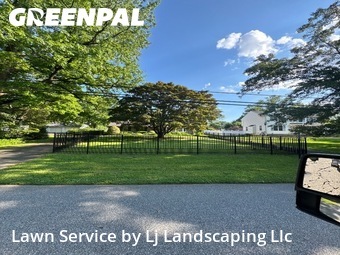 Yard Cutting nearby Media, DE, 