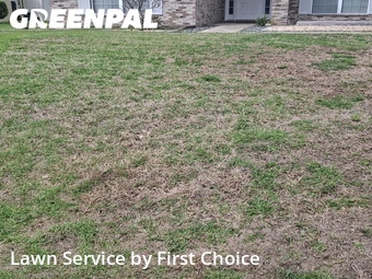 Lawn Mowing nearby Palm Coast, FL, 