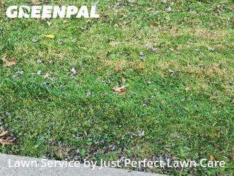 Lawn Upkeep in Brook Park, 44142, Lawn Maintenance by Just Perfect Lawn Care, work completed in Nov , 2025