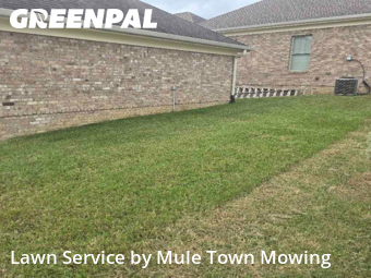 Grass Cut nearby Nolensville, TN, 