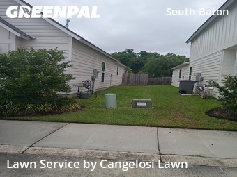 Lawn Mow nearby Baton Rouge, LA, 