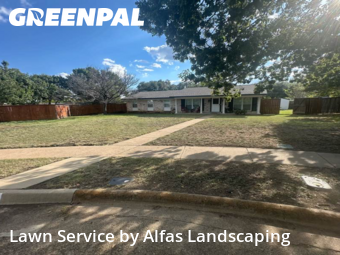 Lawn Mowin Richardson,75080,Lawn Cut by Alfas Landscaping, work completed in Dec , 2025