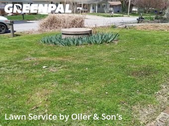 Lawn Care nearby Springfield, IL, 