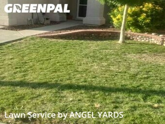 Grass Cut nearby El Paso, TX, 