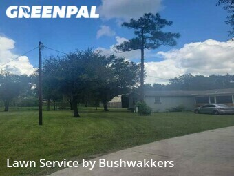 Lawn Mow nearby North Fort Myers, FL, 