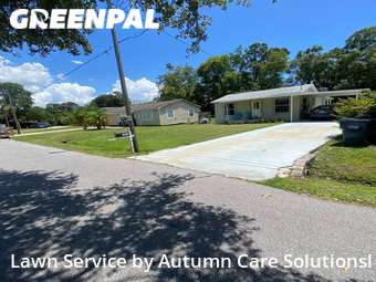 Grass Cutting nearby Tampa, FL, 