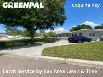 Grass Cut nearby St. Petersburg, FL, 