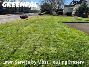 Yard Cutting nearby Braintree, MA, 