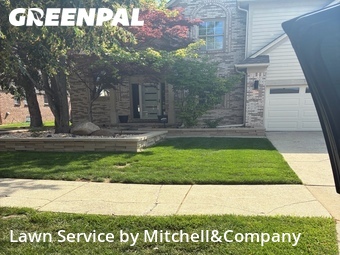 Grass Cut nearby Clinton Township, MI, 