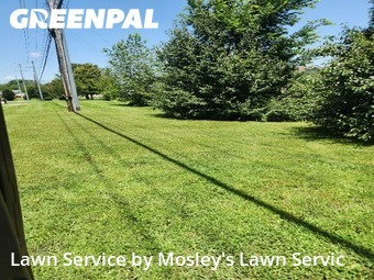 Grass Cut nearby Clarksville, TN, 