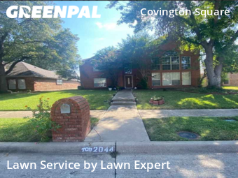 Grass Cut nearby Plano, TX, 