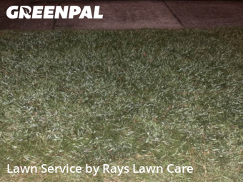 Lawn Maintenance nearby Harvey, LA, 