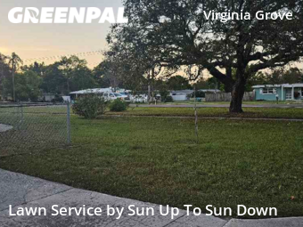 Lawn Care nearby Clearwater, FL, 