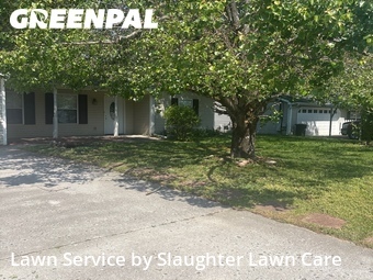 Yard Cutting nearby Knoxville, TN, 