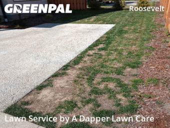 Lawn Mowing Service nearby Bellingham, WA, 