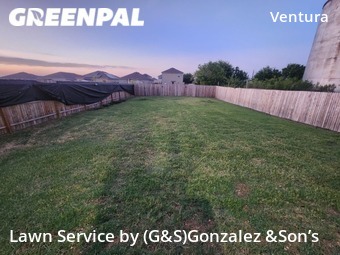 Lawn Mowing nearby San Antonio, TX, 