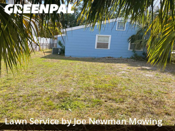 Grass Cut nearby Tampa, FL, 