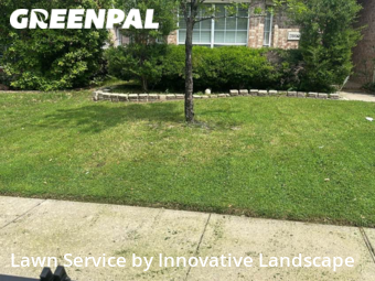 Grass Cutting nearby Mc Kinney, TX, 