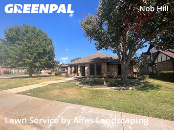 Lawn Cutting nearby Carrollton, TX, 