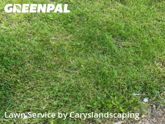 Grass Cut nearby Moreland Hills, OH, 