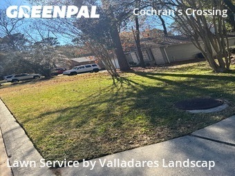 Lawn mowed in The Woodlands, 77381