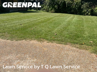 Lawn Upkeep in Ridgeland, 39157, Yard Upkeep by T Q Lawn Service, work completed in Oct , 2025