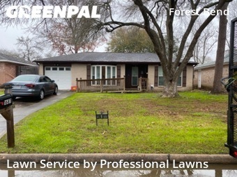 Lawn Mow nearby Friendswood, TX, 