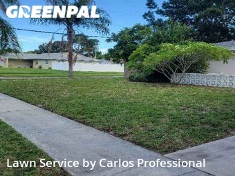 Lawn Mowing nearby St. Petersburg, FL, 