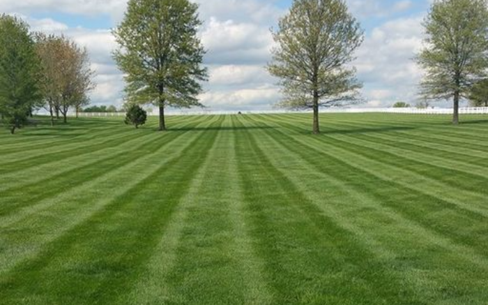 Work Image 4