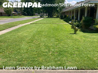 Lawn Mow nearby Baton Rouge, LA, 
