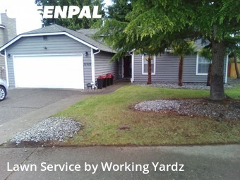 Grass Services in Federal Way, 98023, Yard Care by Working Yardz, work completed in Nov , 2025