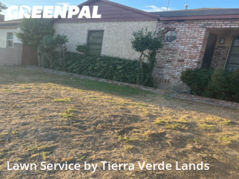 Work completed by grass-care-professionals-in-Lynwood-CA