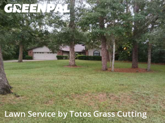 Yard Work in Wekiwa Springs, 32712, Garden Trimming by Totos Grass Cutting, work completed in Nov , 2025
