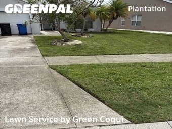 Yard Mowing nearby Tampa, FL, 