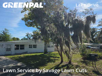 Yard Grooming in Panama City, 32404, Yard Mowing by Savage Lawn Cuts, work completed in Oct , 2025