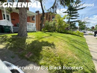 Grass Cut nearby Cincinnati, OH, 