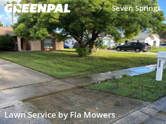 Lawn Maintenance nearby Trinity, FL, 