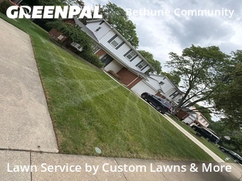 Grass Cutting nearby Southfield, MI, 