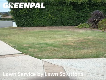 Lawn Cutting in Villa Park, 92861, Landscaping Maintenance by Lawn Solutions , work completed in Dec , 2025