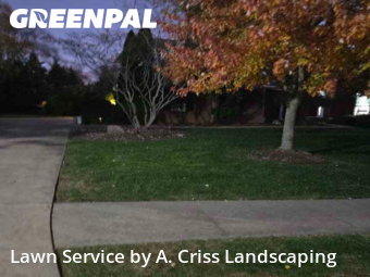 Lawn Mow nearby Canton, OH, 