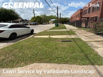 Lawn Care Service nearby Houston, TX, 