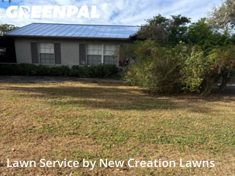 Yard Grooming in Brandon, 33594, Yard Grooming by New Creation Lawns, work completed in Dec , 2025