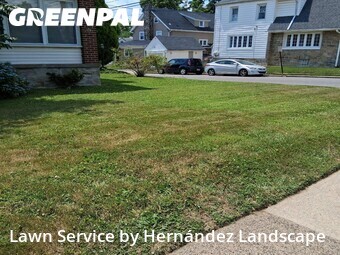 Grass Cutting nearby Lansdowne, PA, 