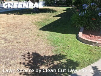 Lawn Care nearby Fresno, CA, 