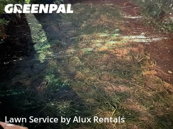 Lawn Mow nearby Gary, IN, 